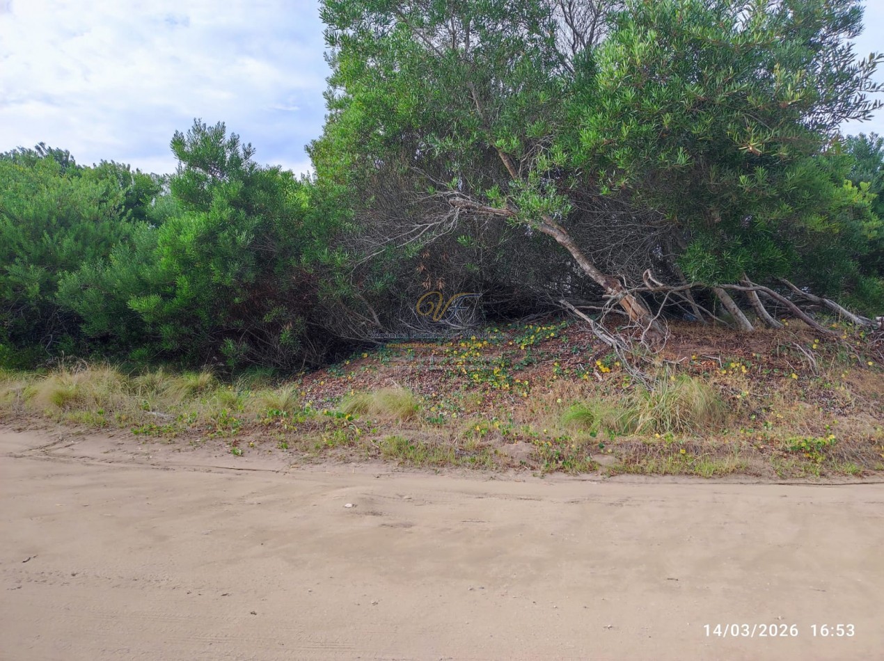 LOTE COSTA ESMERALDA SENDEROS 4 LOTE 361 ESQUINA ARBOLADA