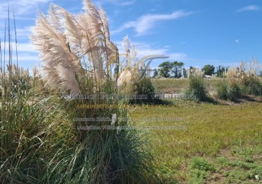 LOTE VENTA EL SALVAJE IDEAL ESQUINA LOTE 106